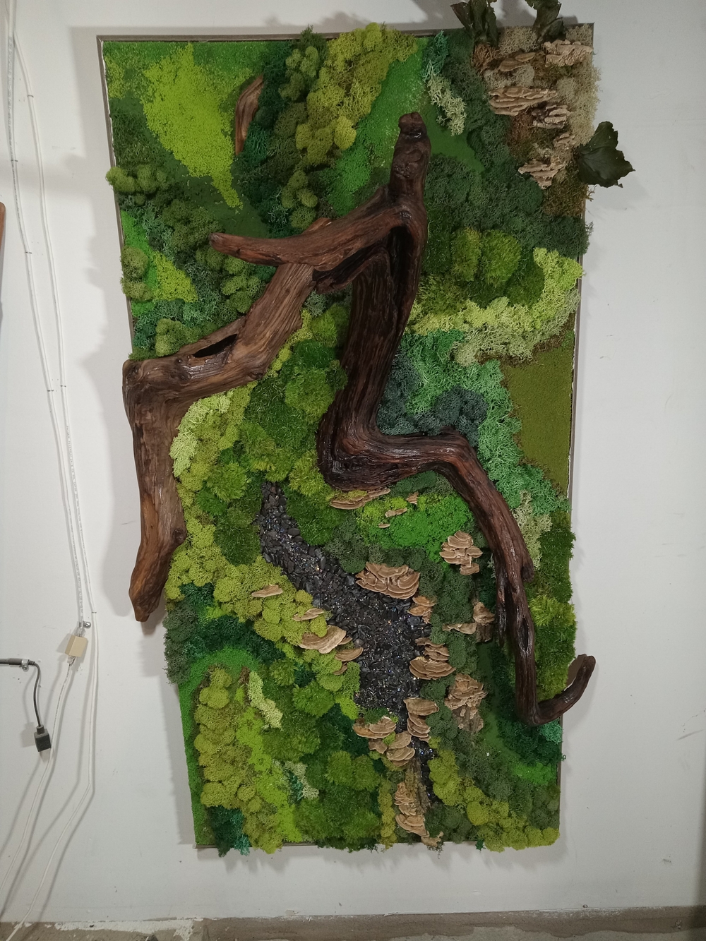 Preserved Moss Wall Art with Natural Wood Accent - Green